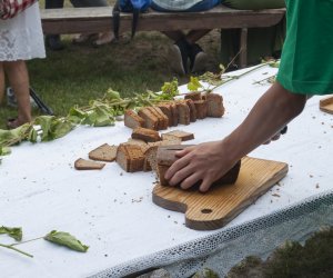 XX Podlaskie Święto Chleba - fotorelacja XX Podlaskie Święto Chleba - fotorelacja