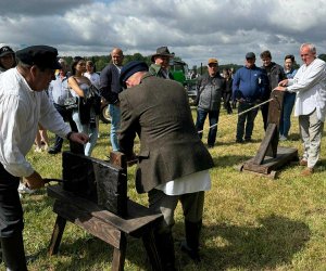 XXXI Regionalna Wystawa Zwierząt Hodowlanych i Dni z Doradztwem Rolniczym w PODR Szepietowo.