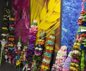 Wyniki XXIV Konkursu na wykonanie palmy wielkanocnej Wyniki XXIV Konkursu na wykonanie palmy wielkanocnej