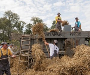 XVI Podlaskie Święto Chleba XVI Podlaskie Święto Chleba