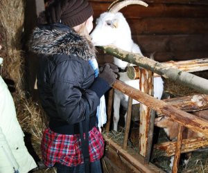 Szopka Bożonarodzeniowa