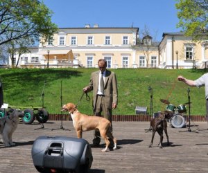 Galeria - 2012 Galeria - 2012