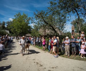 XVIII Podlaskie Święto Chleba - fotorelacja XVIII Podlaskie Święto Chleba - fotorelacja