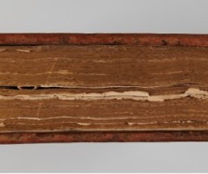 Przeprowadzenie prac konserwatorskich starodruków ze zbiorów działu weterynarii Przeprowadzenie prac konserwatorskich starodruków ze zbiorów działu weterynarii