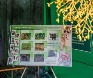 Jarmark św. Wojciecha A.D. 2023 - podsumowanie i fotorelacja Jarmark św. Wojciecha A.D. 2023 - podsumowanie i fotorelacja