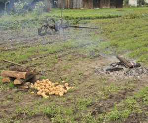 Wykopki w skansenie podsumowanie, fotorelacja. Wykopki w skansenie podsumowanie, fotorelacja.