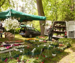 Jarmark Św. Wojciecha i Festyn Leśny 2014 Jarmark Św. Wojciecha i Festyn Leśny 2014