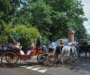 X Zajazd Wysokomazowiecki - fotorelacja X Zajazd Wysokomazowiecki - fotorelacja