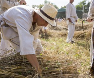 XX Podlaskie Święto Chleba - fotorelacja XX Podlaskie Święto Chleba - fotorelacja