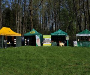 XIV Jarmark Św. Wojciecha i Festyn Leśny