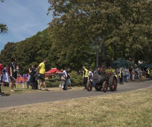 Piknik "Poznaj Zdrową Żywność" - fotorelacja Piknik "Poznaj Zdrową Żywność" - fotorelacja