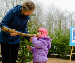 Galeria z 6 grudnia 2014 Galeria z 6 grudnia 2014