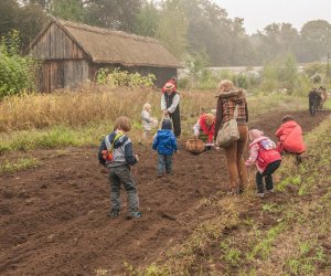 Wykopki w Skansenie 2013 Wykopki w Skansenie 2013