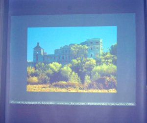 Zamki, grody, ruiny – waloryzacja i ochrona