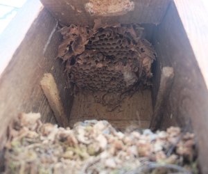 Zimowe Ptakoliczenie 2016 Zimowe Ptakoliczenie 2016