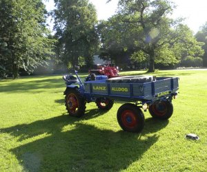 Wyglądają przepięknie Wyglądają przepięknie