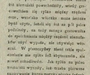 Niecodziennik muzealny - Uprawa ziemniaków w Polsce w XVIII i pierwszych dekadach XIX wieku. Niecodziennik muzealny - Uprawa ziemniaków w Polsce w XVIII i pierwszych dekadach XIX wieku.