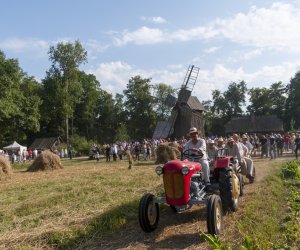 XX Podlaskie Święto Chleba - fotorelacja XX Podlaskie Święto Chleba - fotorelacja