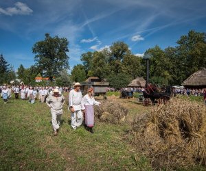 XVIII Podlaskie Święto Chleba - fotorelacja XVIII Podlaskie Święto Chleba - fotorelacja