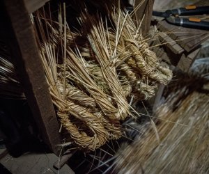 Konferencja ogólnopolska "Słoma, trzcina i wiklina" - fotorelacja Konferencja ogólnopolska "Słoma, trzcina i wiklina" - fotorelacja