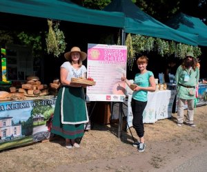 Muzeum na Pikniku Poznaj Dobrą Żywność