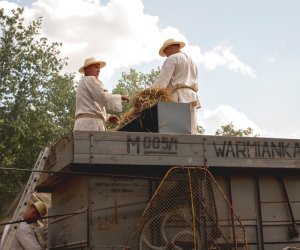 XIX Podlaskie Święto Chleba - fotorelacja XIX Podlaskie Święto Chleba - fotorelacja