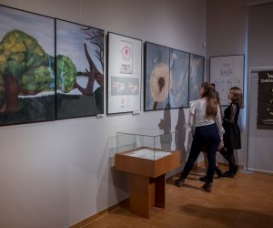 Wernisaż wystawy "Ciechanowiecka Kuźnia Talentów" Wernisaż wystawy "Ciechanowiecka Kuźnia Talentów"