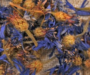 NIECOdziennik muzealny - Skarby lasów, łąk, pól NIECOdziennik muzealny - Skarby lasów, łąk, pól