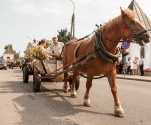 Święto Chleba po raz trzynasty Święto Chleba po raz trzynasty