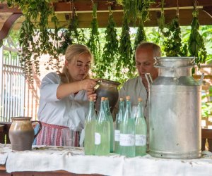 „Podlaskie zioła” - jubileusz 40-lecia muzealnego ogrodu roślin leczniczych - relacja