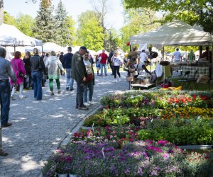 Jarmark św. Wojciecha 2024 - fotorelacja Jarmark św. Wojciecha 2024 - fotorelacja