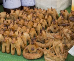 XVI Podlaskie Święto Chleba XVI Podlaskie Święto Chleba