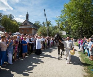 XVIII Podlaskie Święto Chleba - fotorelacja XVIII Podlaskie Święto Chleba - fotorelacja