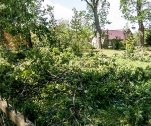 Nawałnica w Ciechanowcu Nawałnica w Ciechanowcu