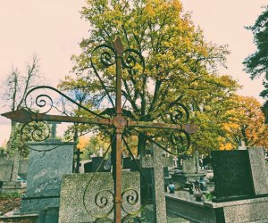 NIECOdziennik Muzealny - Ogrody Wiecznej Pamięci