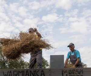 XVI Podlaskie Święto Chleba XVI Podlaskie Święto Chleba