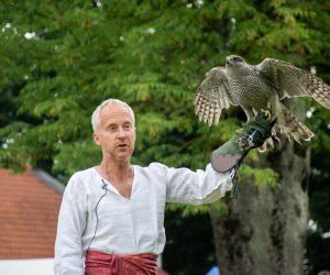 13. Zajazd Wysokomazowiecki - 23 lipca 2023 r. - podsumowanie i fotorelacja 13. Zajazd Wysokomazowiecki - 23 lipca 2023 r. - podsumowanie i fotorelacja