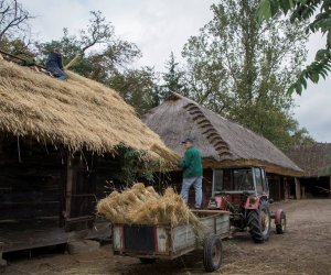 Jesień w Polu i Zagrodzie 2018 - fotorelacja