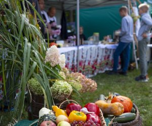 „Jesień w polu i zagrodzie” 2023 r. - fotorelacja i podsumowanie „Jesień w polu i zagrodzie” 2023 r. - fotorelacja i podsumowanie