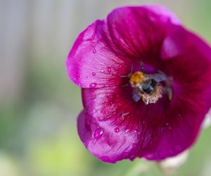 NIECOdziennik muzealny - Wieś w październiku NIECOdziennik muzealny - Wieś w październiku