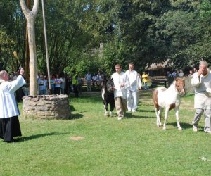 IX Podlaskie Święto Chleba IX Podlaskie Święto Chleba