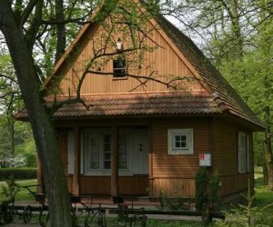 Nasza przyroda, Zagrożenia, cele i formy jej ochrony Nasza przyroda, Zagrożenia, cele i formy jej ochrony