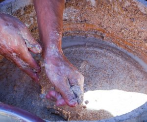 XVIII Podlaskie Święto Chleba - fotorelacja XVIII Podlaskie Święto Chleba - fotorelacja