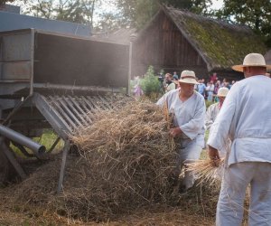 XVIII Podlaskie Święto Chleba - fotorelacja