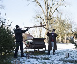 LIGAWKI 2016 - Fotorelacja z konkursu
