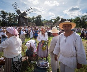 XVIII Podlaskie Święto Chleba - fotorelacja XVIII Podlaskie Święto Chleba - fotorelacja