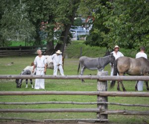 XXIII Podlaskie Święto Chleba - fotorelacja XXIII Podlaskie Święto Chleba - fotorelacja