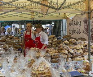 XX Podlaskie Święto Chleba - fotorelacja XX Podlaskie Święto Chleba - fotorelacja