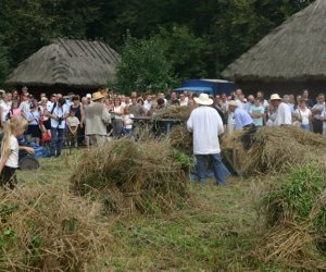 VII PODLASKIE ŚWIĘTO CHLEBA VII PODLASKIE ŚWIĘTO CHLEBA
