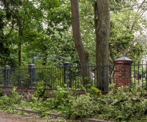 Nawałnica w Ciechanowcu Nawałnica w Ciechanowcu